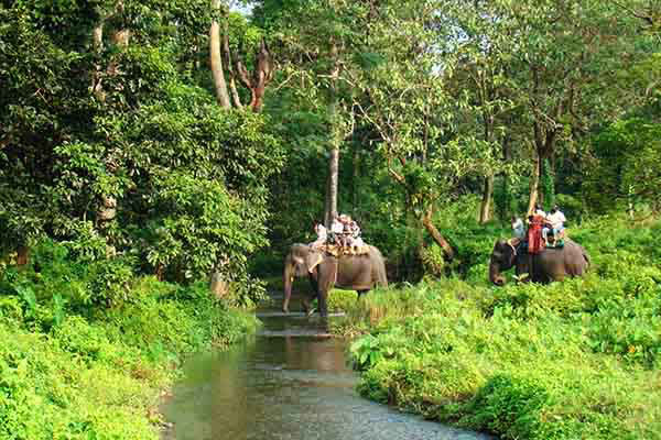 Mahananda Senctuary and Safari Park
